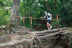 BIB: 
                            <button type="button" onclick="openModal(27803910)" class="btn btn-primary btn-sm float-right btn-popup" data-toggle="modal" data-target=".modal-high-quality">
                        <i class="fas fa-shopping-cart"></i> Add to Cart
                    </button>
                                            <button type="button" onclick="isThisMe(27803910, true)" class="btn btn-success btn-sm float-right btn-popup btn-isme hidden" data-toggle="tooltip" data-placement="bottom" title="นี่คือรูปของคุณใช่ไหม คลิกที่นี่เพื่อเอาเข้าอัลบั้ม">
                        <i class="fas fa-plus"></i> Add to album
                    </button>
                    <button type="button" onclick="isThisMe(27803910, false)" class="btn btn-warning btn-sm float-right btn-popup btn-isnotme hidden">
                        <i class="fas fa-ban"></i> Remove from album
                    </button>